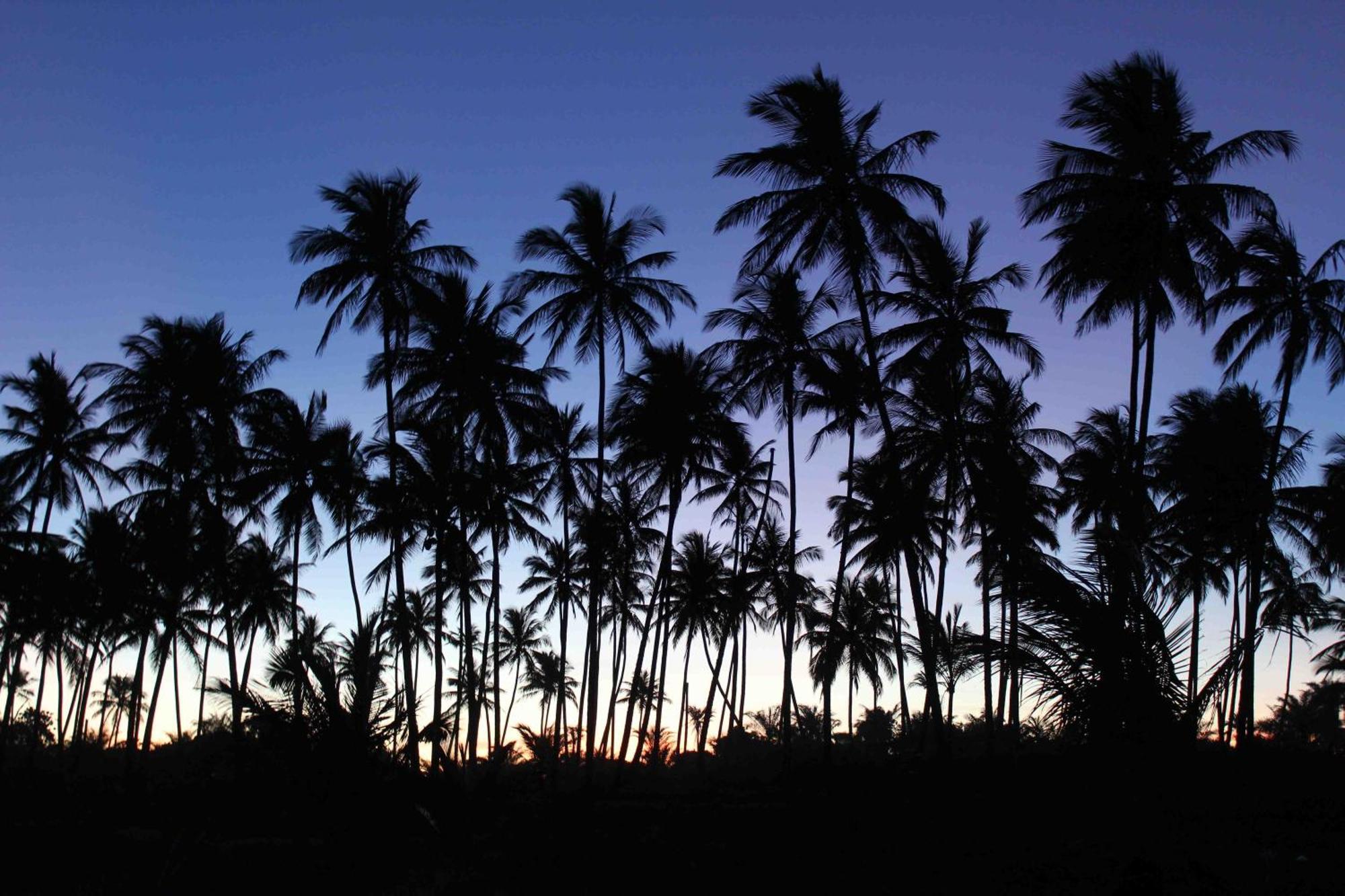 Dreamland Bungalows Barra Grande  Exterior foto